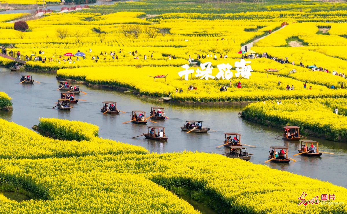 【AIGC动画】一色一风景 大地尽芳华 【AIGC动画】一色一风景 大地尽芳华