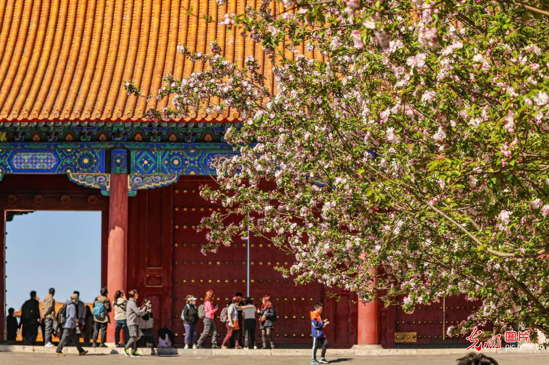 4月6日-4月12日光明图片一周见报作品精选