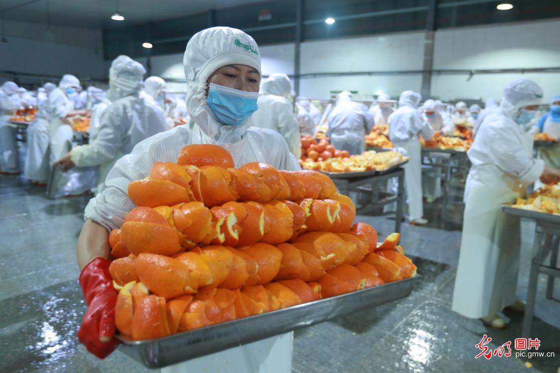 橙皮深加工 助果农增收