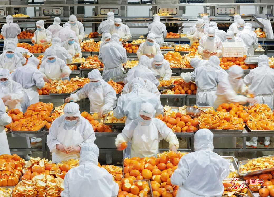 橙皮深加工 助果农增收