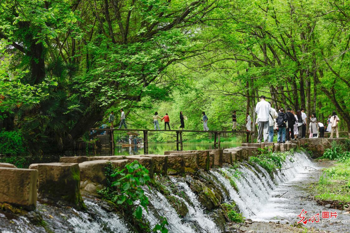 春风又绿西溪南