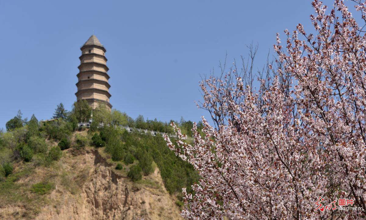 4月6日-4月12日光明图片一周见报作品精选