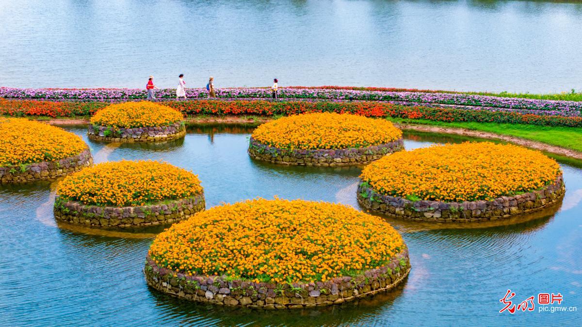 花海映春湖