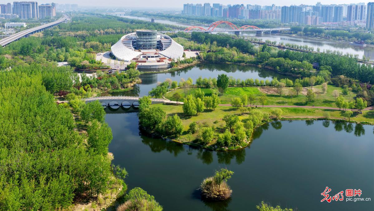 4月13日-4月19日光明图片一周见报作品精选 4月13日-4月19日光明图片一周见报作品精选