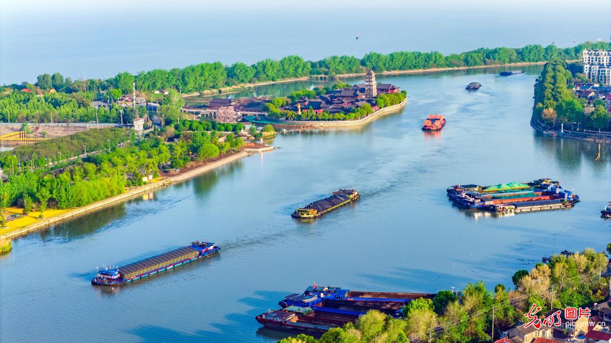 黄金水道春日运输忙