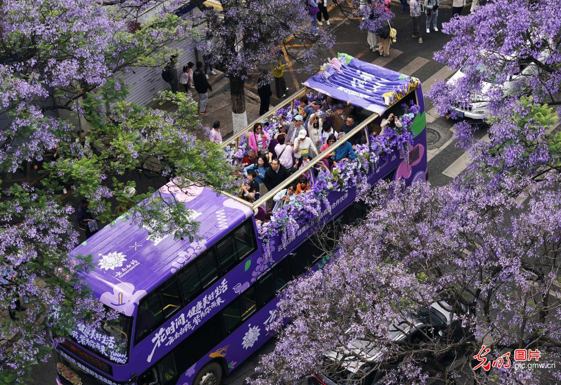 繁花催热春日文旅 赏花经济焕发活力