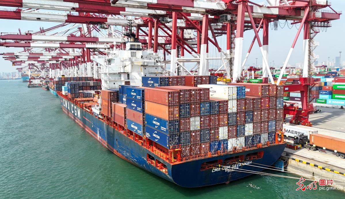 山东港口青岛港已开通11条非洲航线