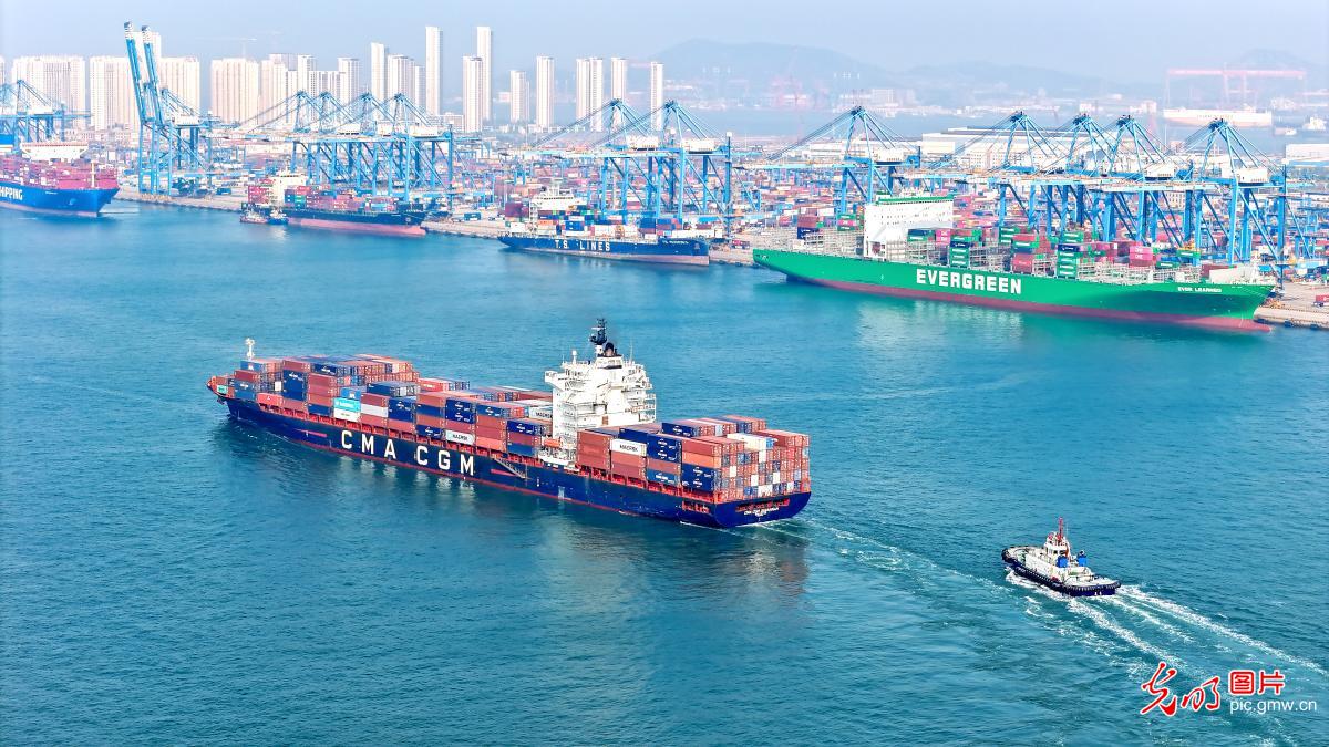 山东港口青岛港已开通11条非洲航线