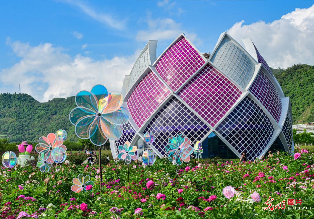 花海兴文旅 生态助振兴 花海兴文旅 生态助振兴