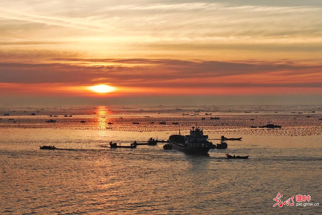 鲍鱼海陆联运 加速转场 鲍鱼海陆联运 加速转场