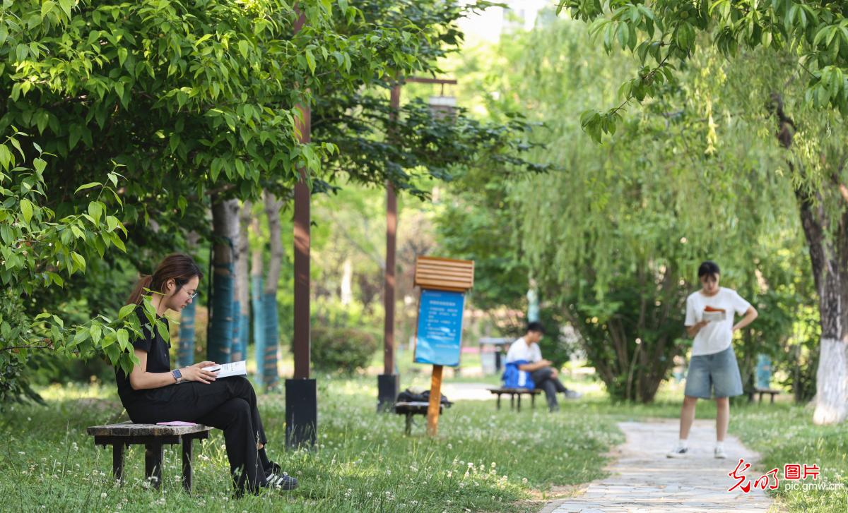 5月25日-5月31日光明图片一周见报作品精选 5月25日-5月31日光明图片一周见报作品精选