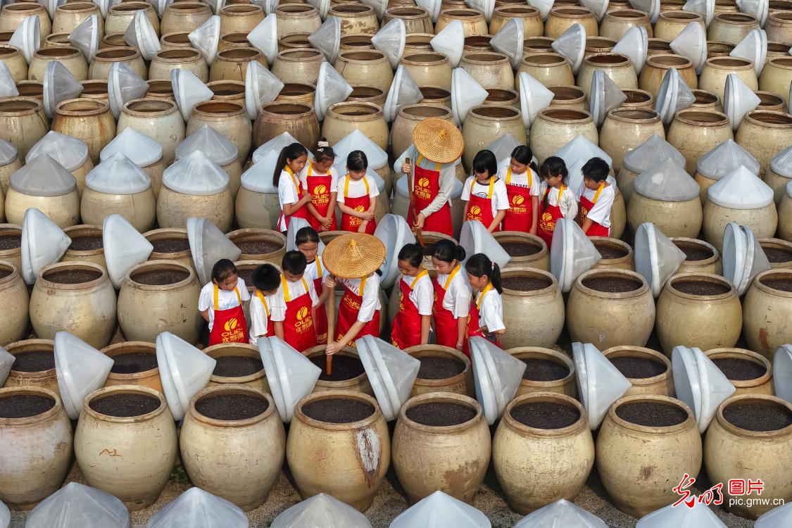 体验非遗酿造 研学豆豉文化 体验非遗酿造 研学豆豉文化