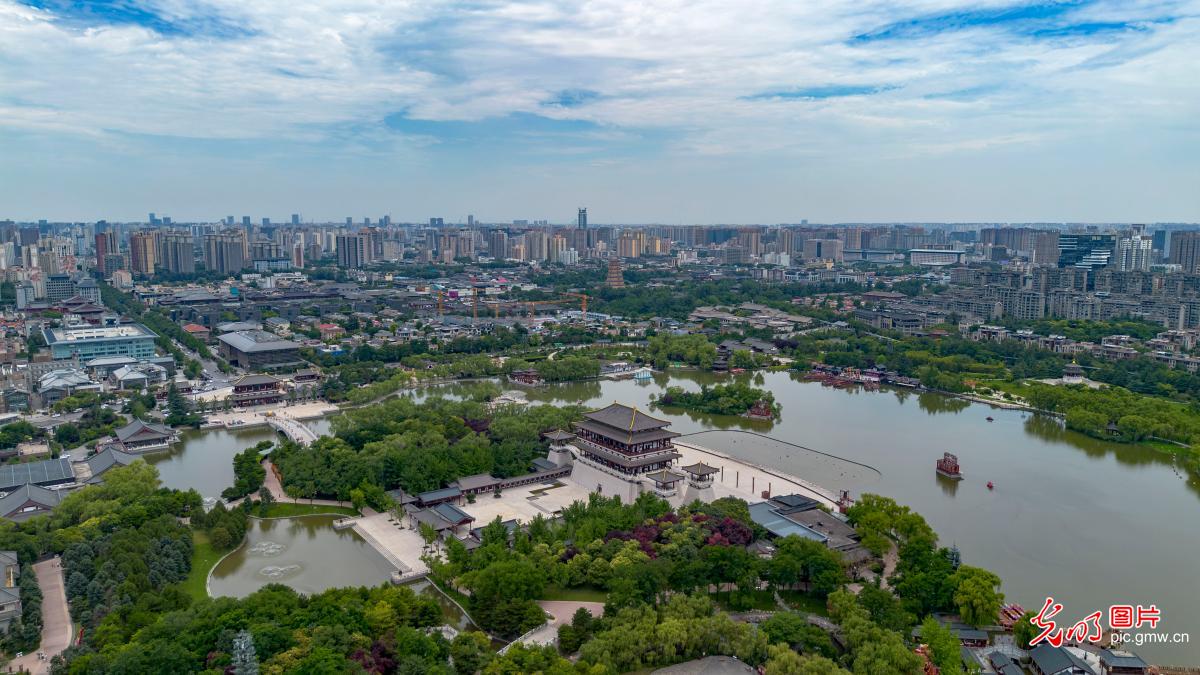6月1日-6月7日光明图片一周见报作品精选 6月1日-6月7日光明图片一周见报作品精选