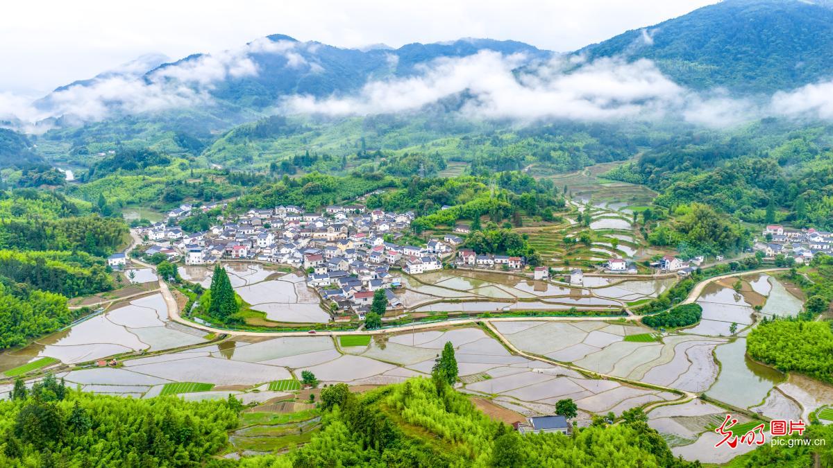 乡村田园入画来