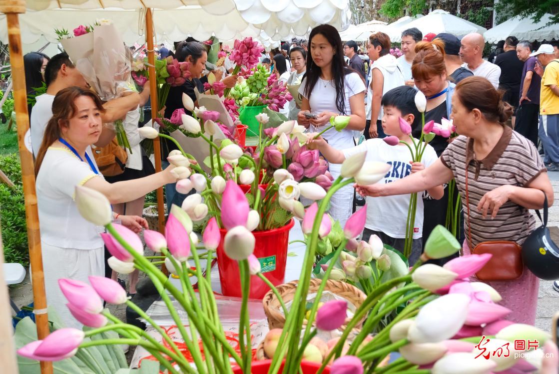 “荷花市集”人气旺 “荷花市集”人气旺