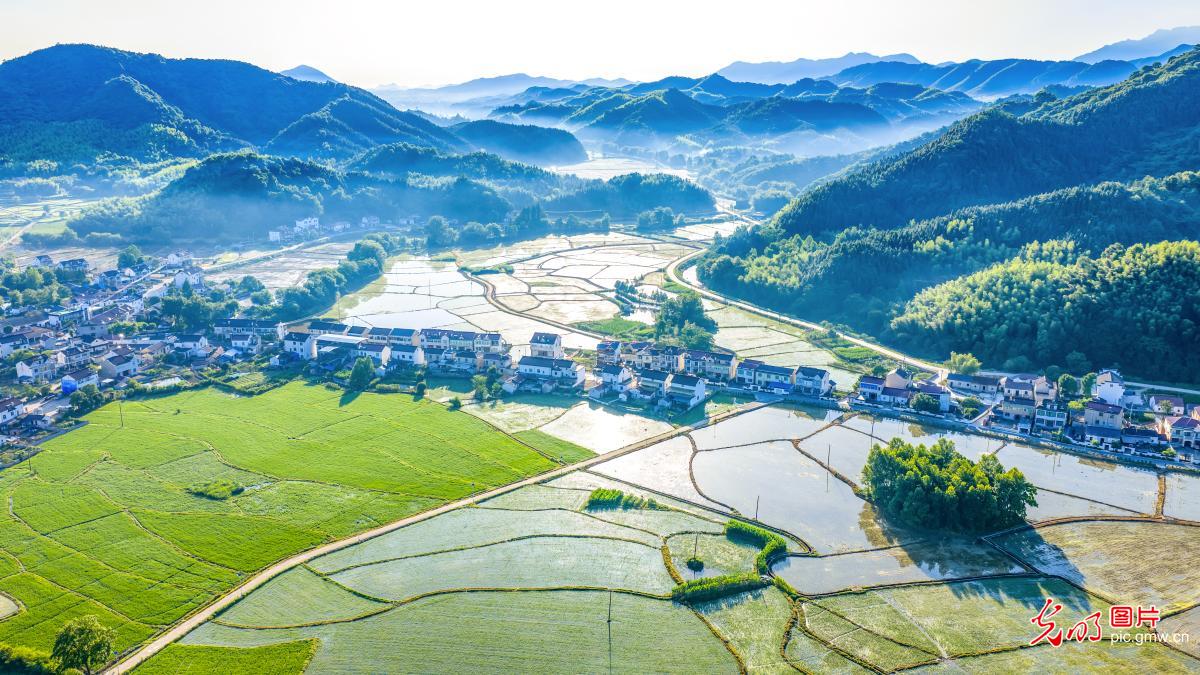 和美乡村入画来