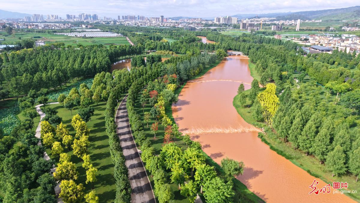 蜿蜒河景绕翠林