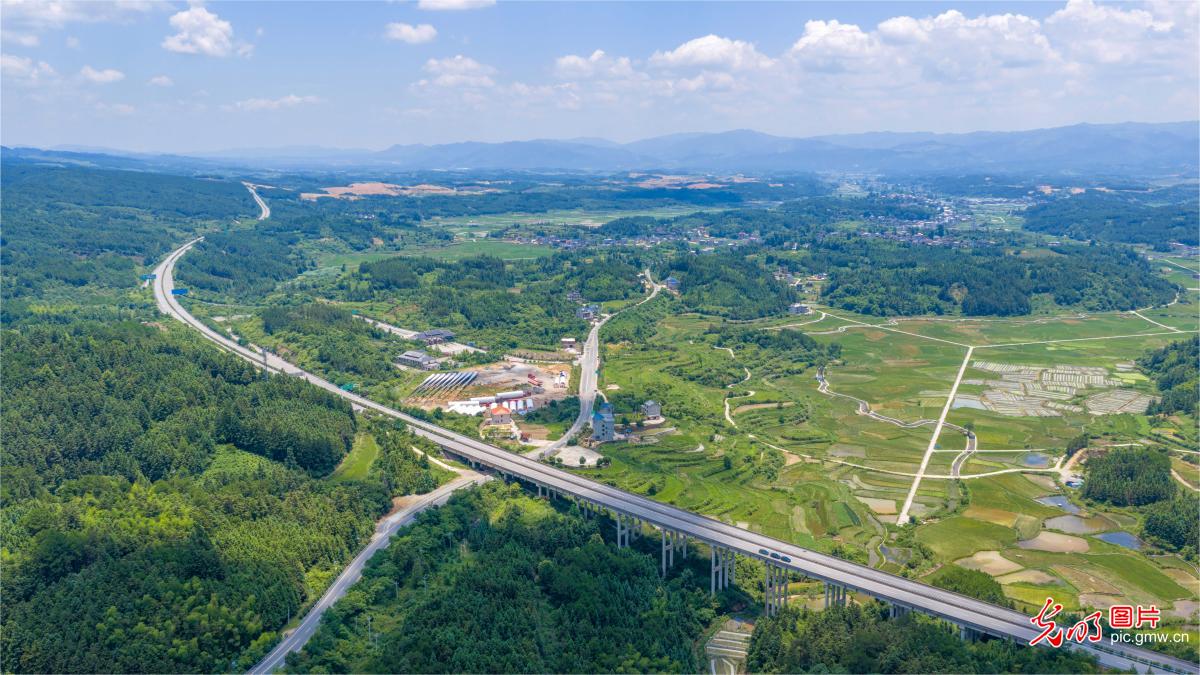 6月15日-6月21日光明图片一周见报作品精选 6月15日-6月21日光明图片一周见报作品精选