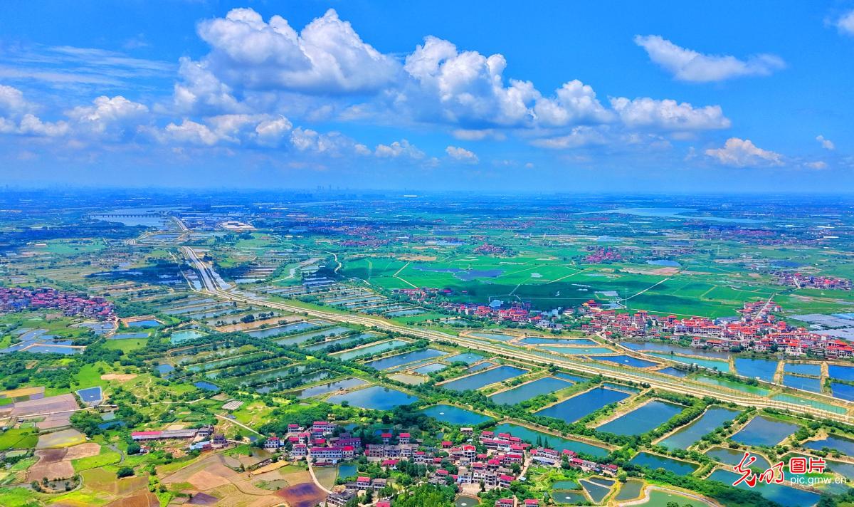田畴错落铺新景 和美乡村入画来