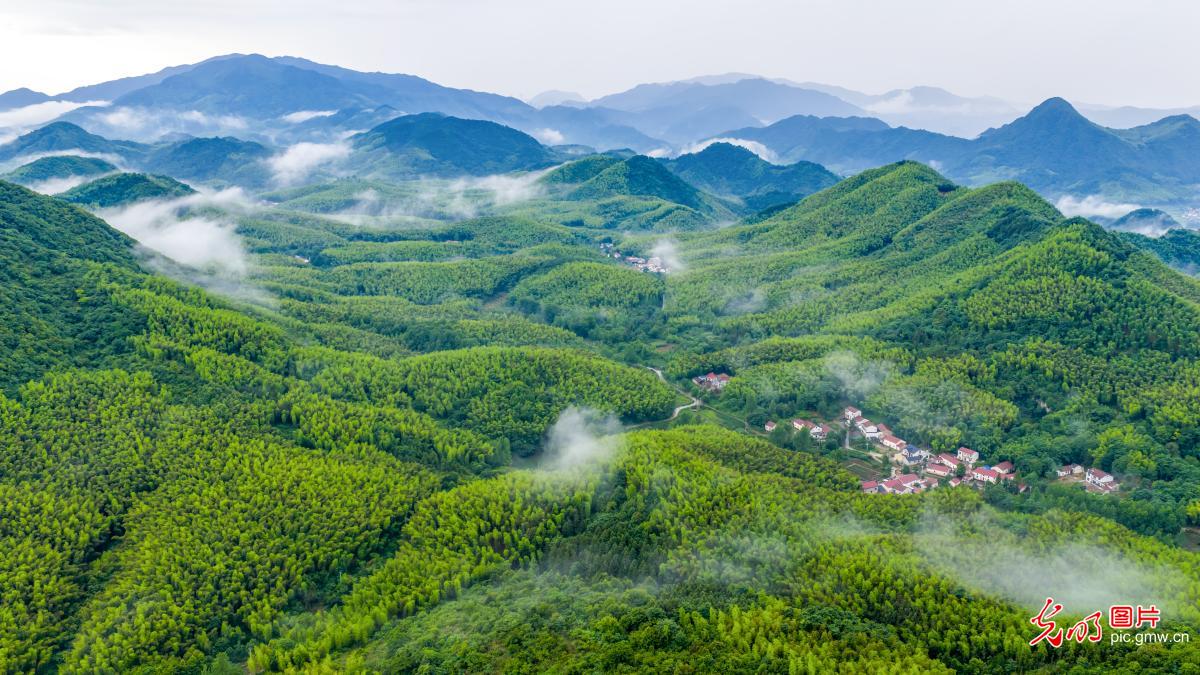 翠岭缠云霭 乡野绘清欢