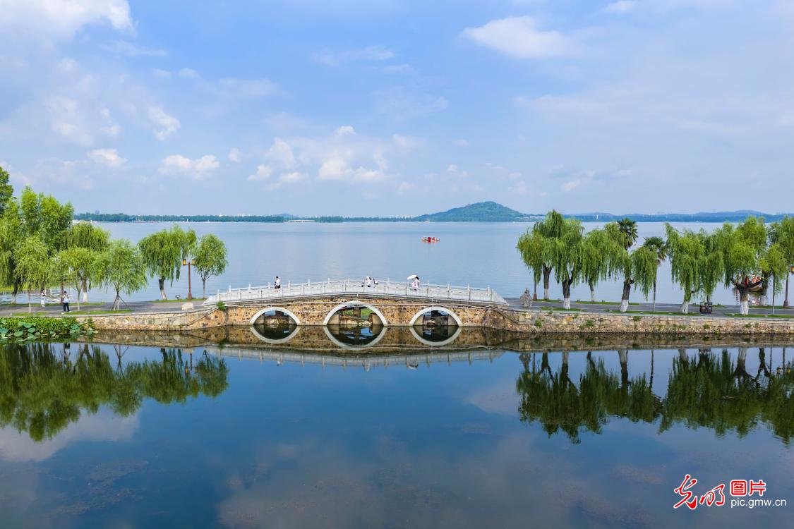 夏日东湖美如画