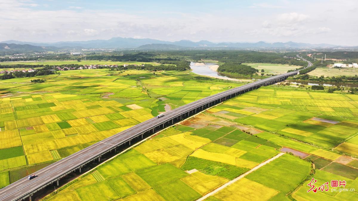 通途绘就田园景 路网铺展富民路