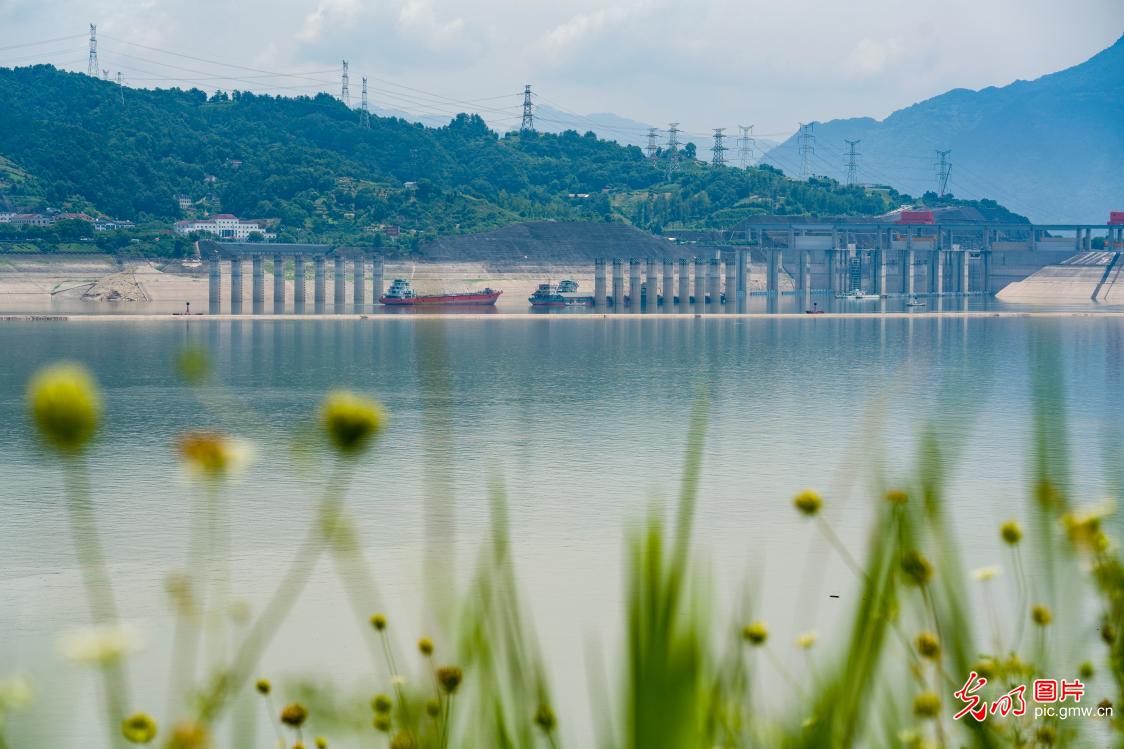 三峡枢纽2026年上半年通过量达7664.2万吨