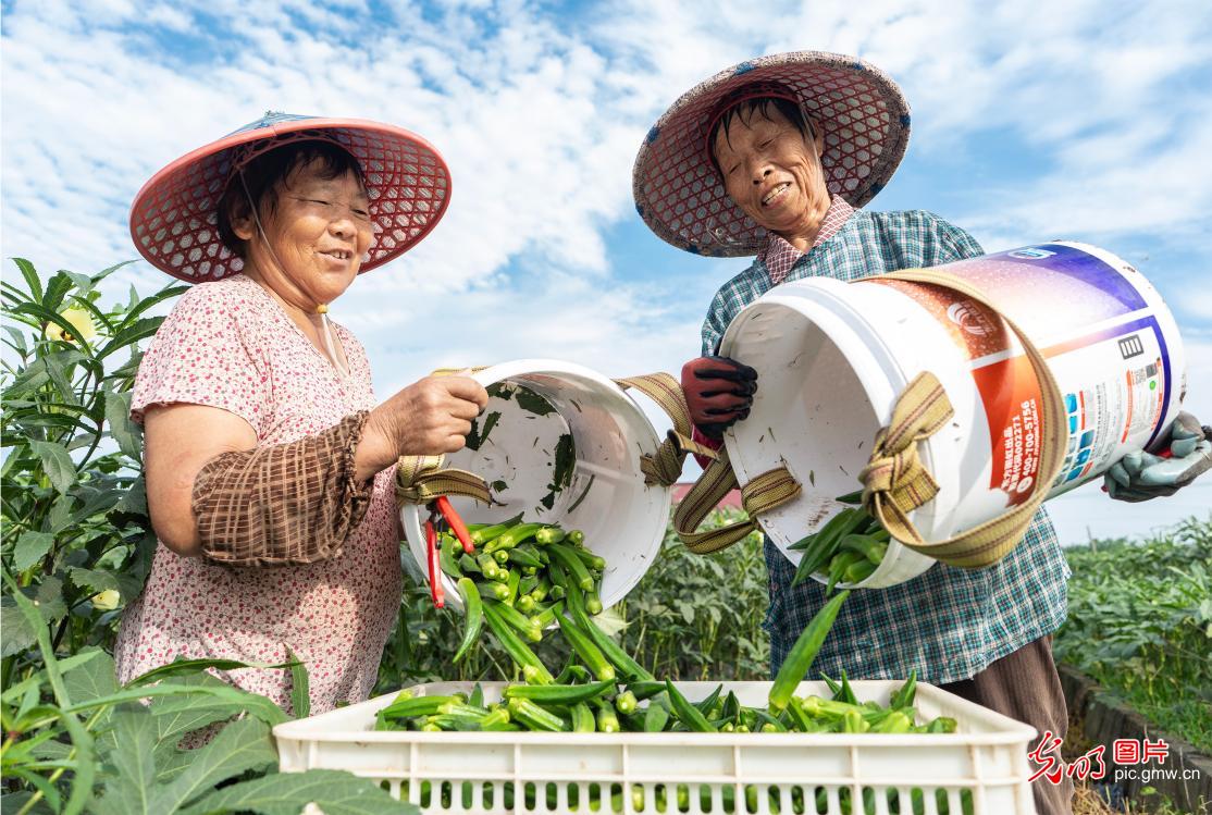 特色种植助农增收