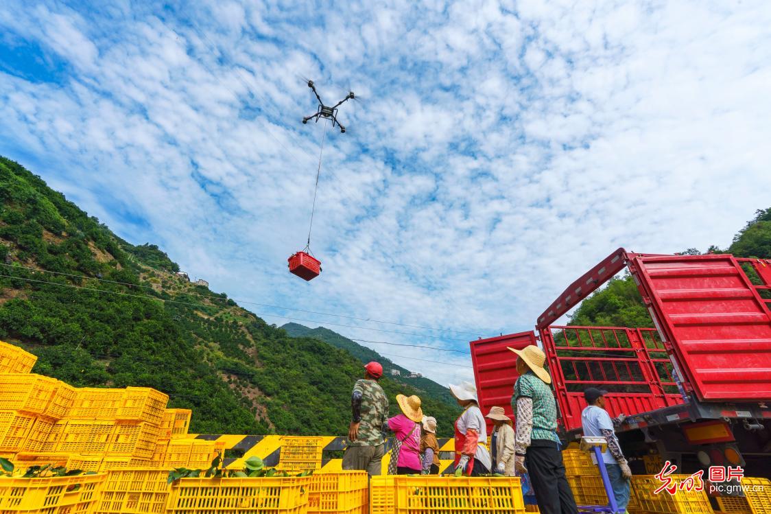 8月3日-8月9日光明图片一周见报作品精选 8月3日-8月9日光明图片一周见报作品精选