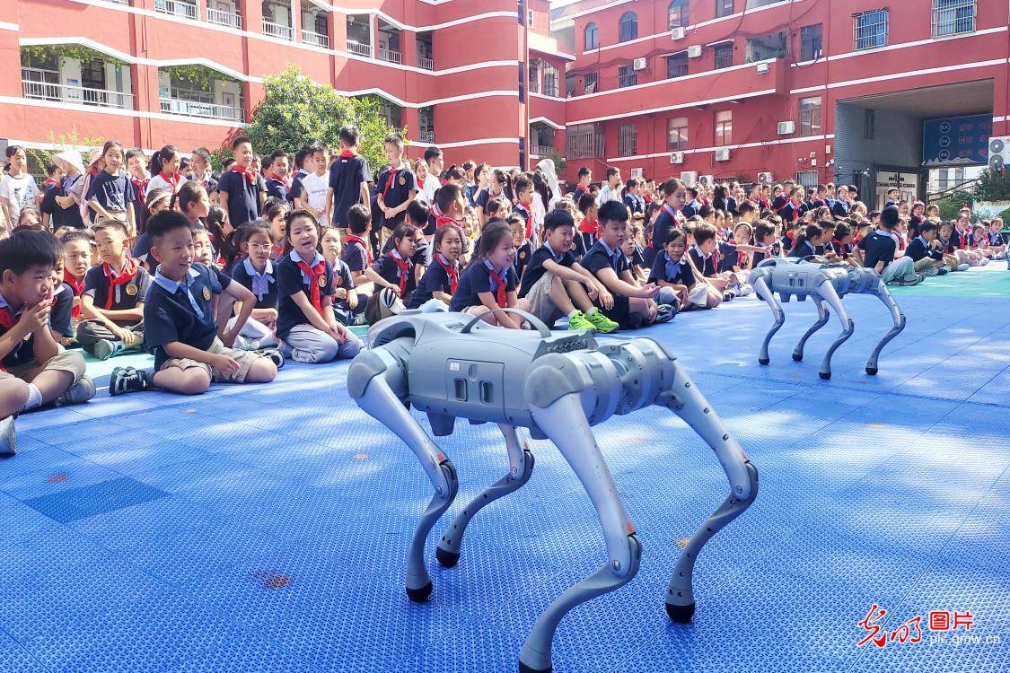 科普月里探新知 点亮少年科技梦 科普月里探新知 点亮少年科技梦