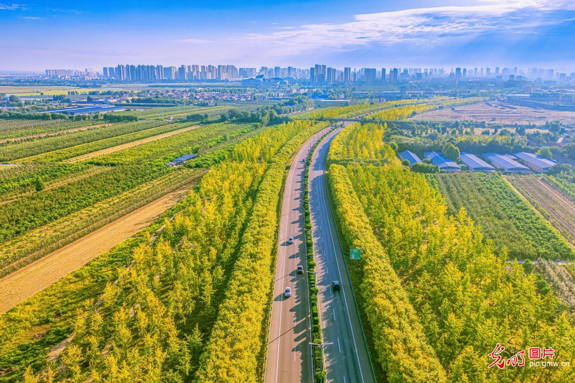 层林染秋色 公路揽风光