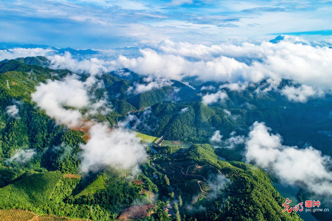 云漫山野间 晨光铺展乡村生态画卷